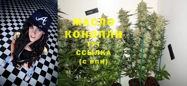шишки Нязепетровск