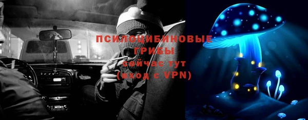 шишки Нязепетровск