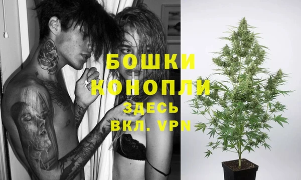 шишки Нязепетровск