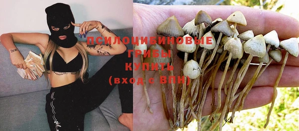 а пвп мука Няндома