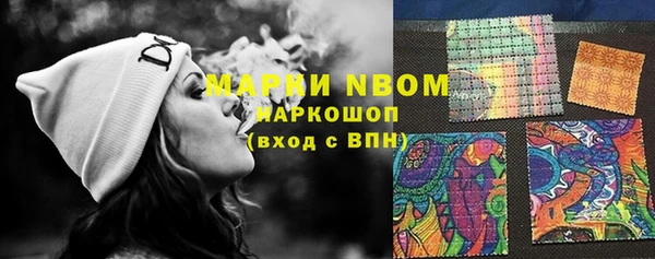 гидра Шали