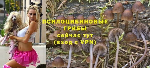 а пвп мука Няндома