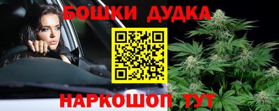 гашик Гатчина