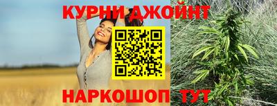 гашик Гатчина