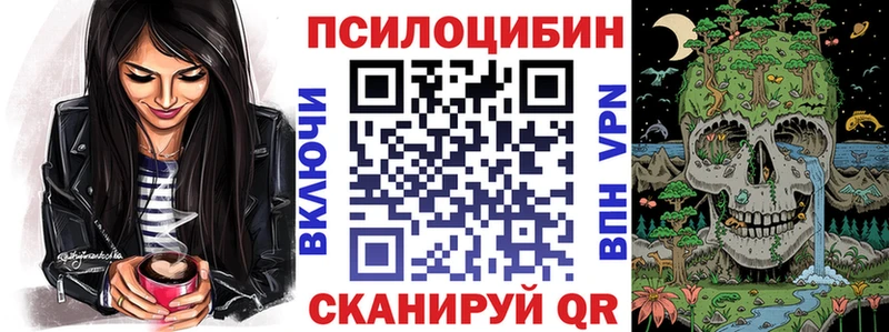 Галлюциногенные грибы Psilocybe магазин наркотиков Краснознаменск