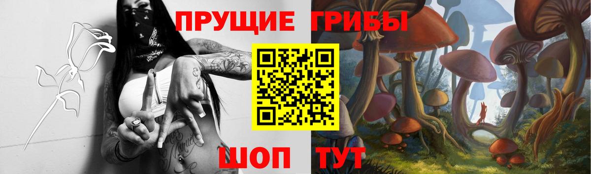 цены   Псилоцибиновые грибы Cubensis  Вход с VPN  Краснознаменск 